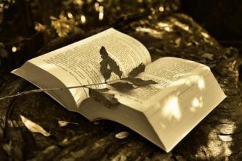 Livre